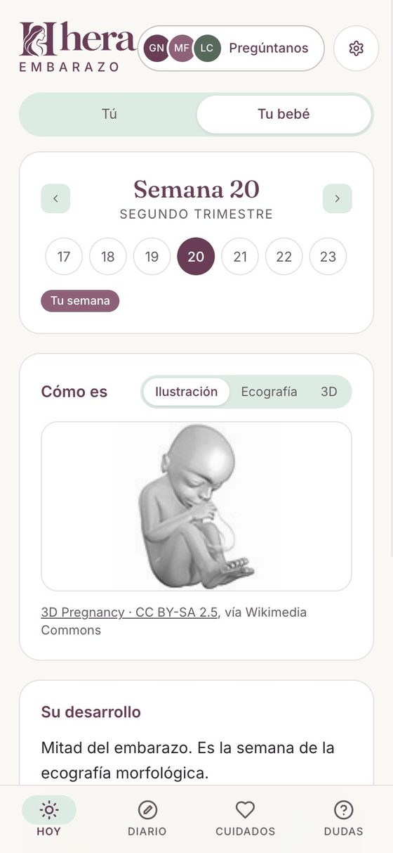 Cómo es tu bebé en la semana 20